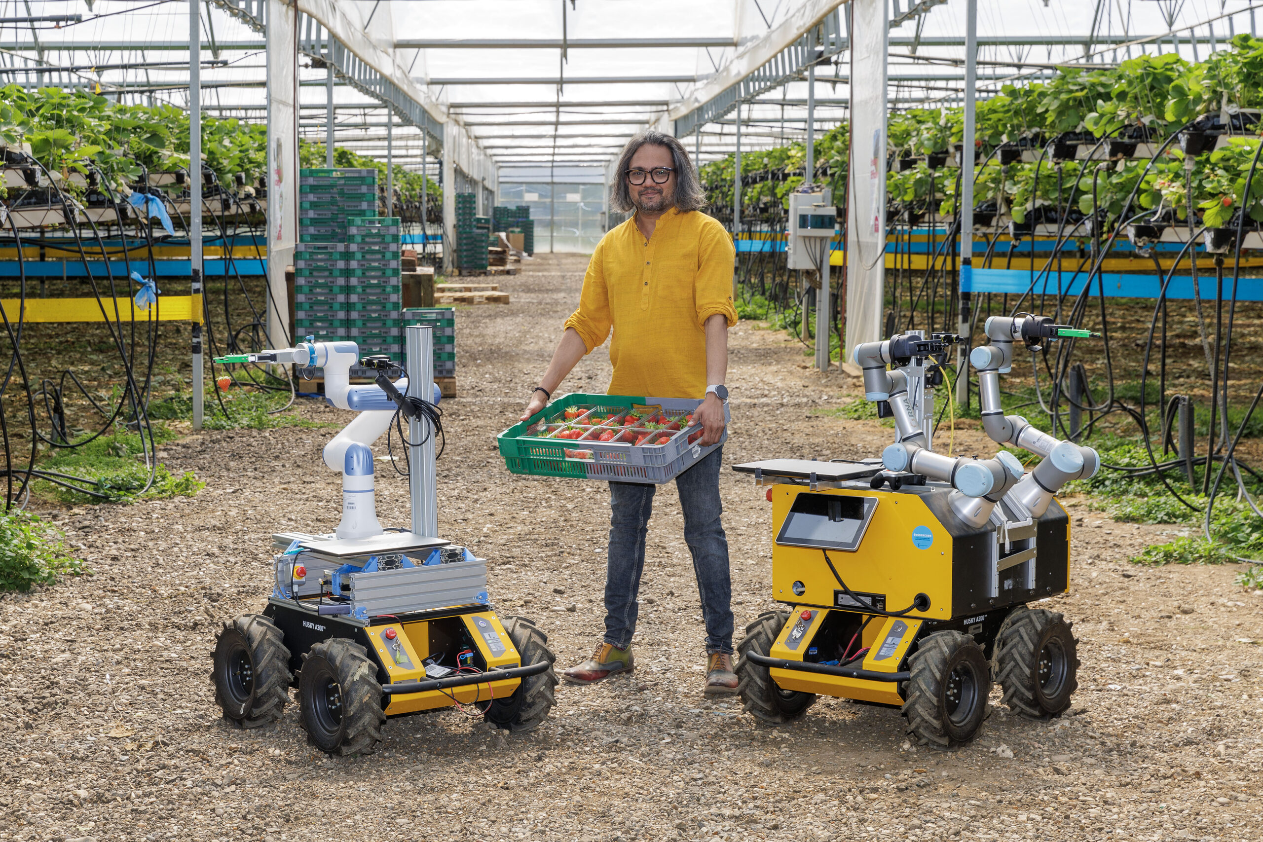 Person in a greenhouse holding strawberries beside two agricultural robots